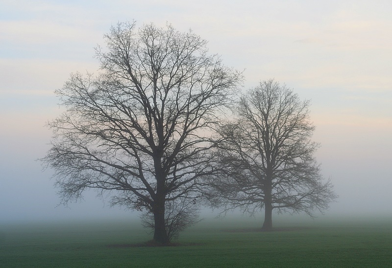 photo "... tuesday morning - 7am (family)" tags: landscape, sunset