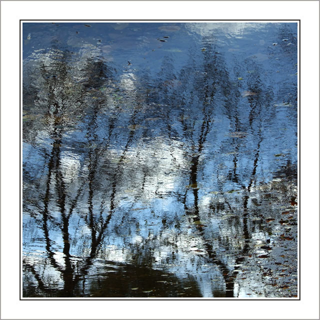 photo "mirror" tags: , 