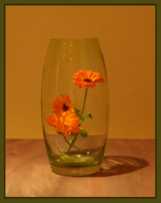 photo "***" tags: still life, 