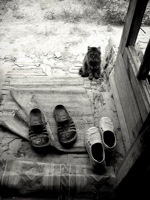 фото "Про кота Ваську" метки: жанр, 