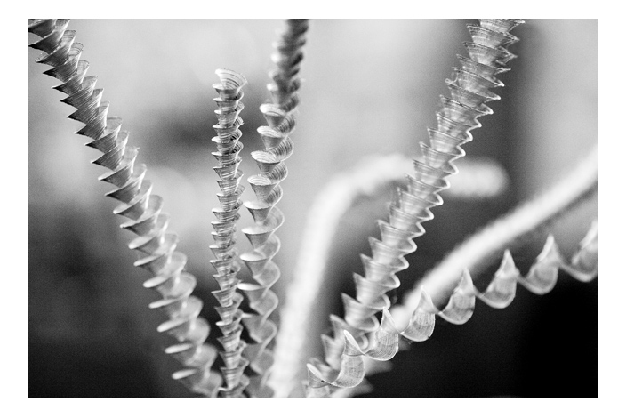 photo "aluminium..." tags: macro and close-up, abstract, 