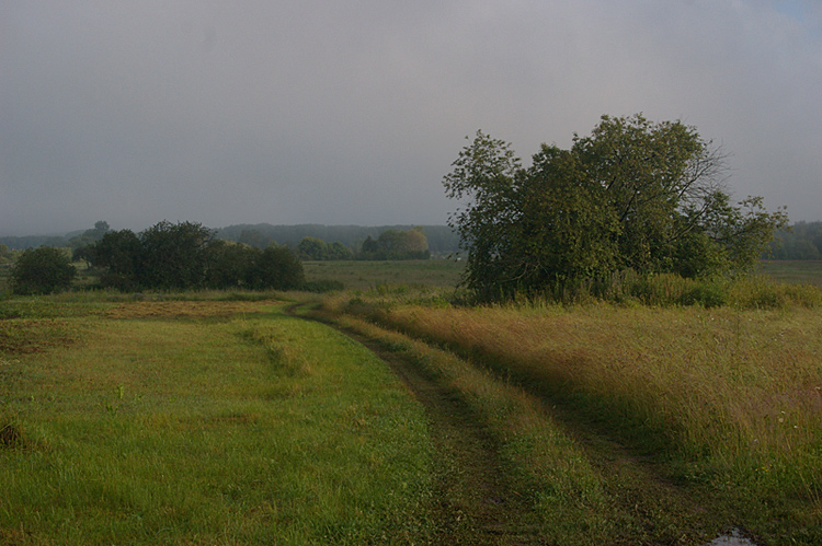 photo "***" tags: landscape, summer