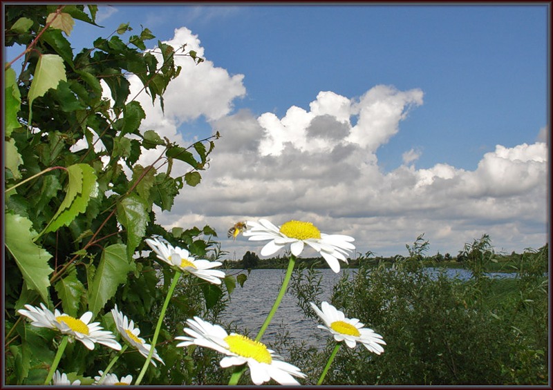 photo "***" tags: landscape, summer