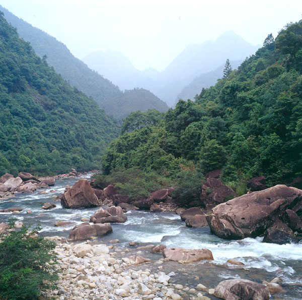 photo "Landscape-12" tags: landscape, forest, water