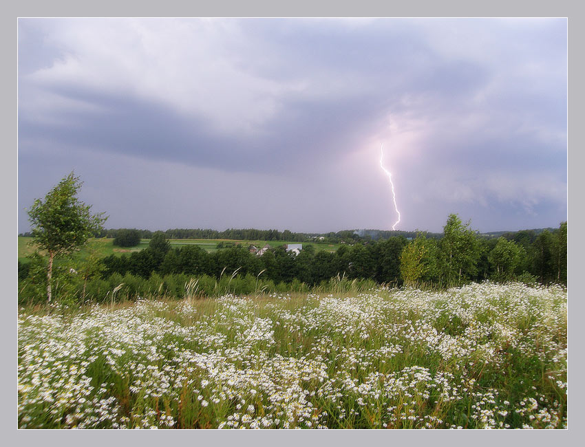 photo "summer thunderstorm" tags: landscape, summer
