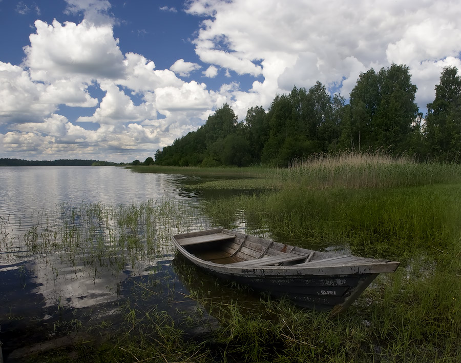 photo "***" tags: landscape, summer, water