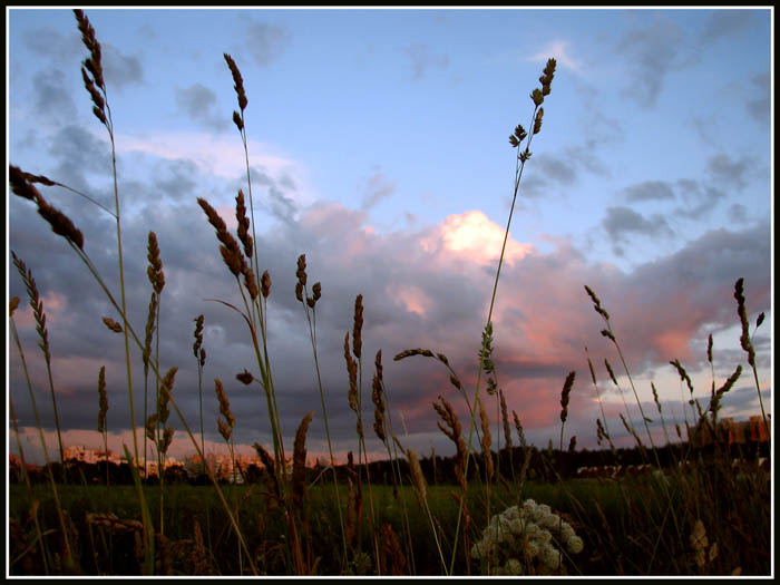 photo "***" tags: landscape, clouds