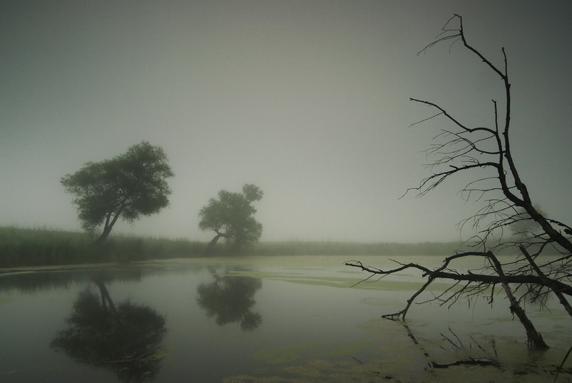 photo "***" tags: landscape, 