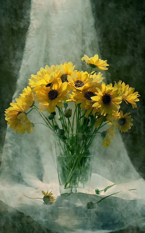 photo "цветы сон" tags: still life, 