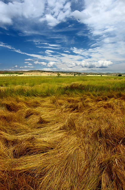 photo "***" tags: landscape, clouds