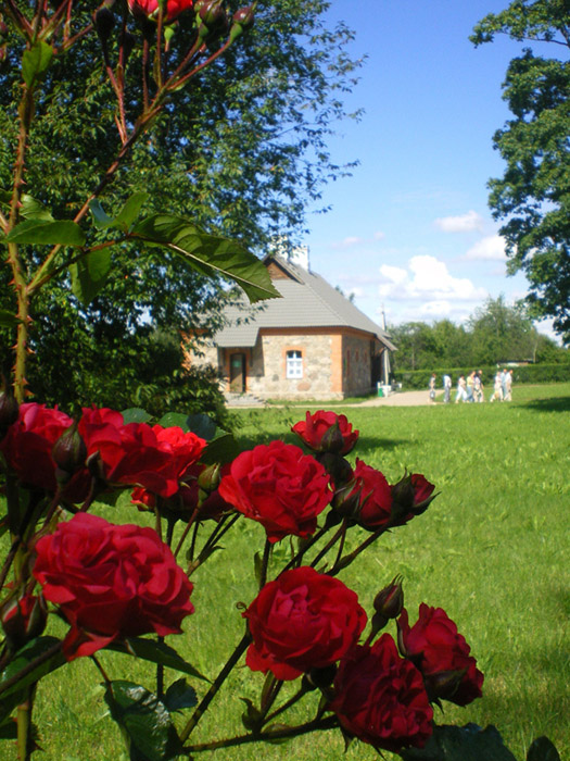 photo "Petrovskoe" tags: landscape, nature, flowers