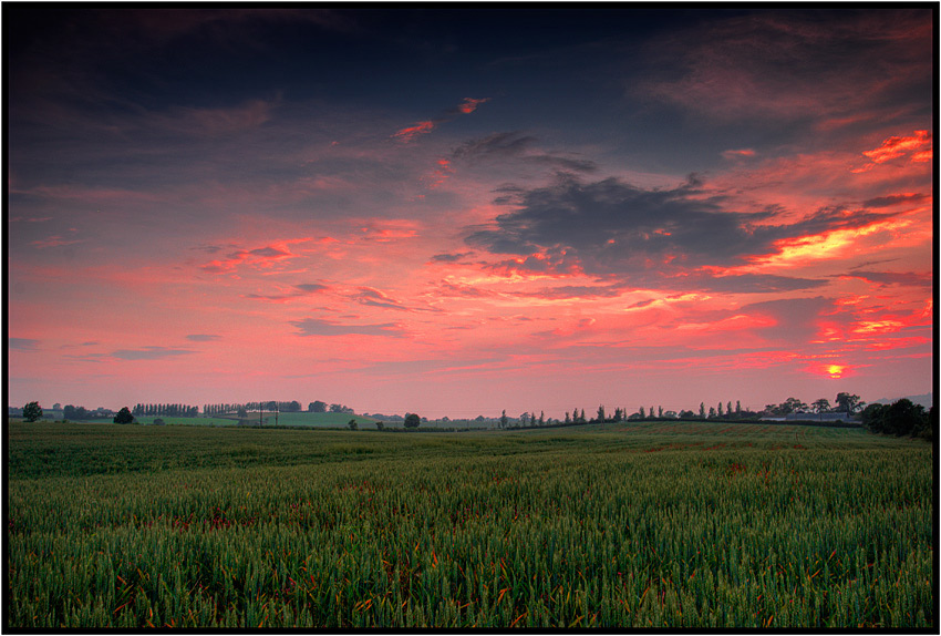 фото "Irish Fields" метки: пейзаж, закат