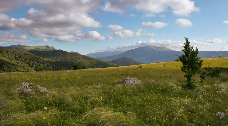 фото "На Долгоруковской яйле" метки: пейзаж, путешествия, горы