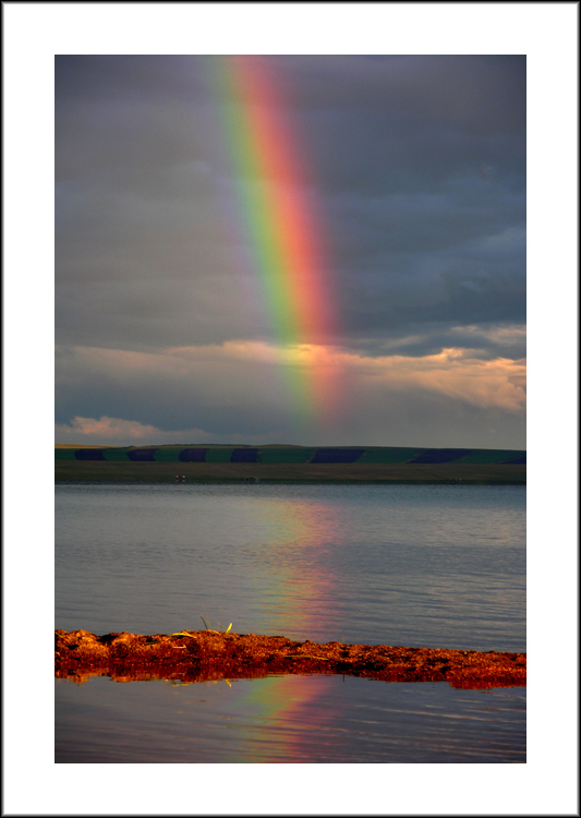 photo "Rainbow" tags: landscape, clouds, water