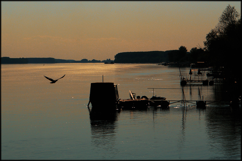 photo "Na Dunavu" tags: landscape, water