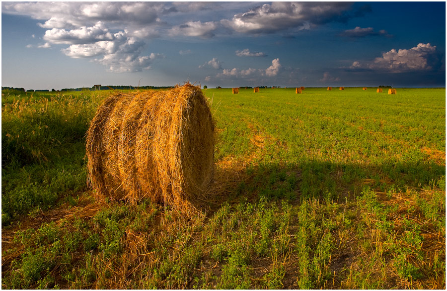 photo "***" tags: landscape, summer