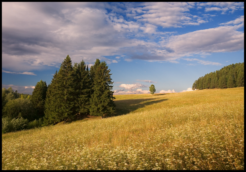 photo "***" tags: landscape, summer