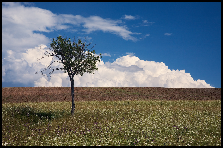 фото "И опустилось облако на землю" метки: пейзаж, лето