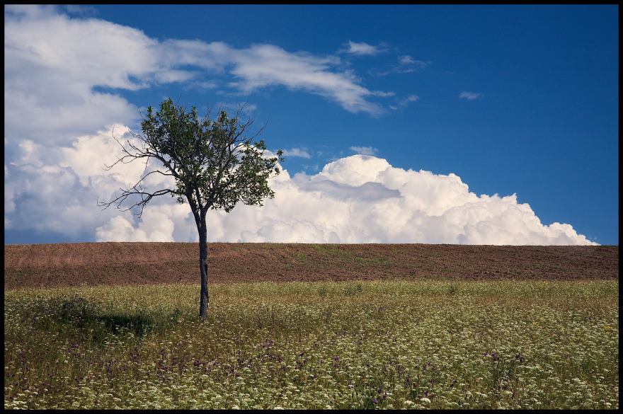 photo "***" tags: landscape, summer