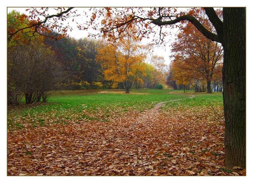 photo "***" tags: landscape, autumn