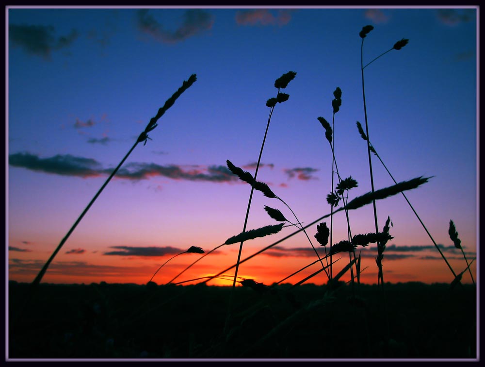photo "***" tags: landscape, sunset