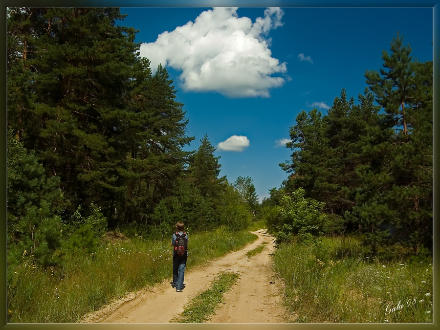 photo "The campaign" tags: landscape, forest, summer