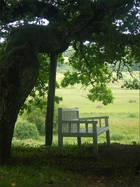 photo "Onegin's bench" tags: landscape, genre, summer