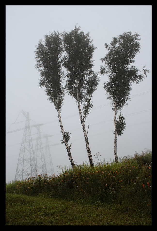 фото "***" метки: пейзаж, 