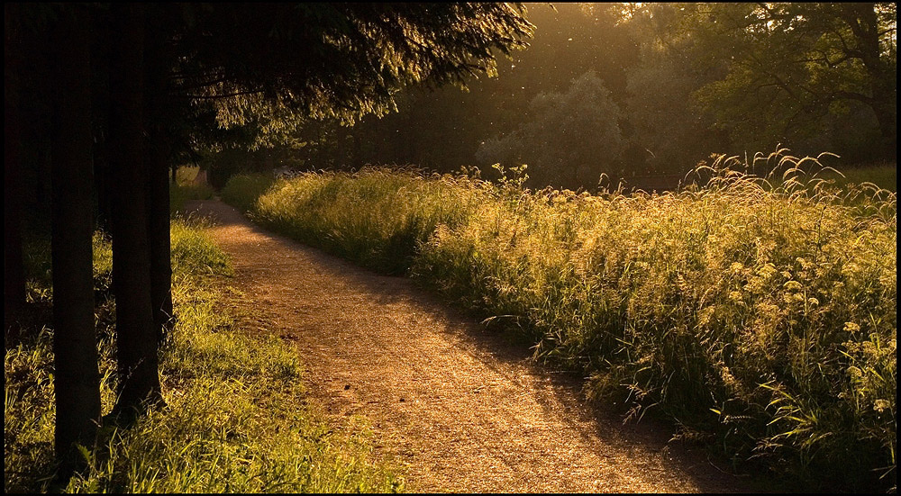 photo "***" tags: landscape, summer