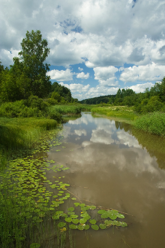 photo "***" tags: landscape, summer