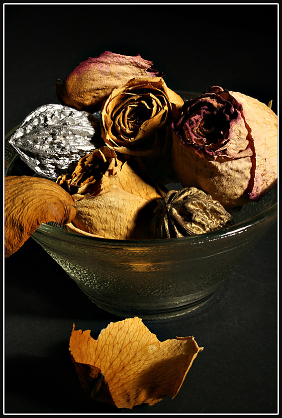 photo "***" tags: still life, 
