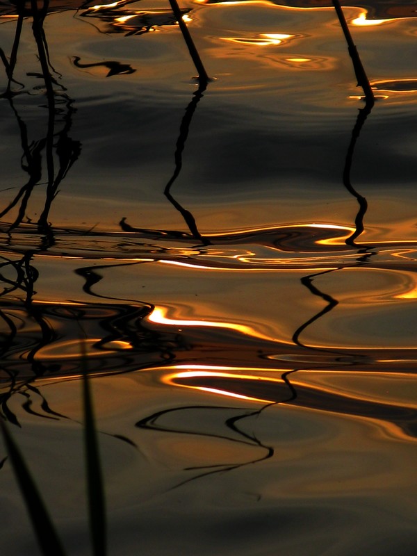 фото "***" метки: пейзаж, вода