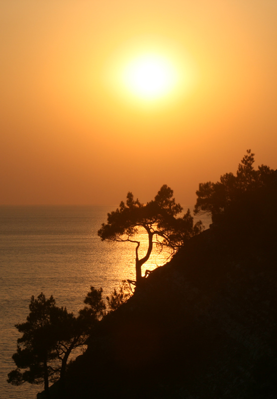 photo "***" tags: landscape, summer, sunset