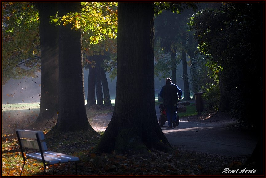 photo "clean up" tags: landscape, reporting, autumn