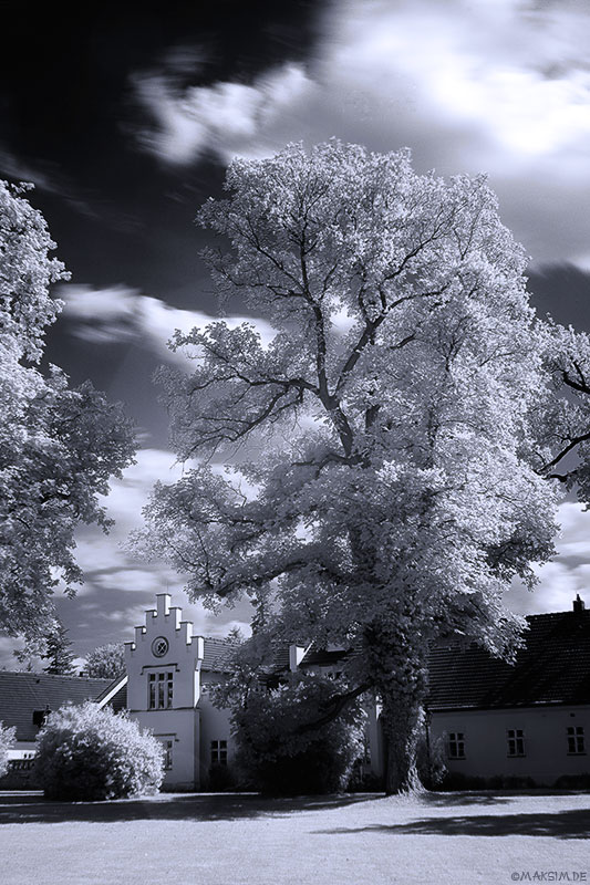 photo "IR im Furst-Puckler-Park #1" tags: landscape, travel, Europe