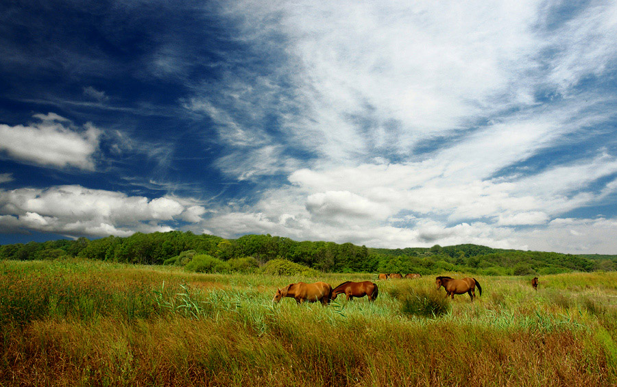 photo "***" tags: landscape, clouds