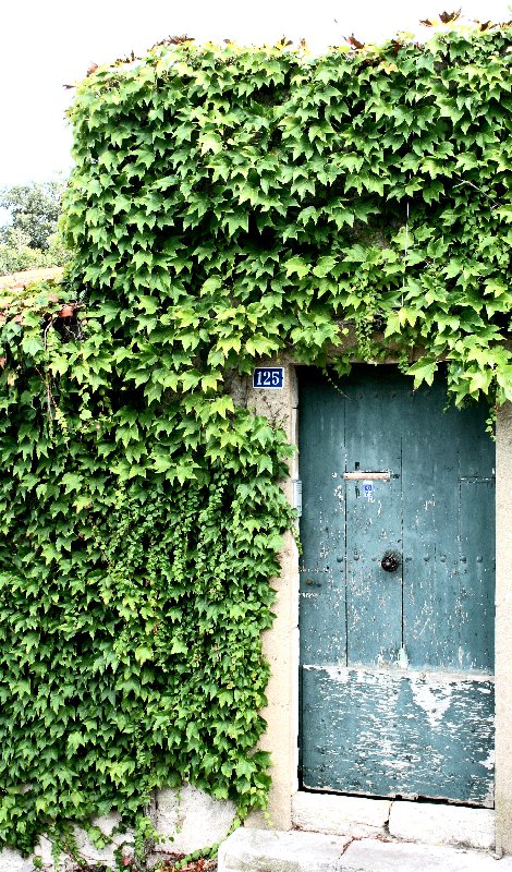 photo "the door" tags: landscape, 