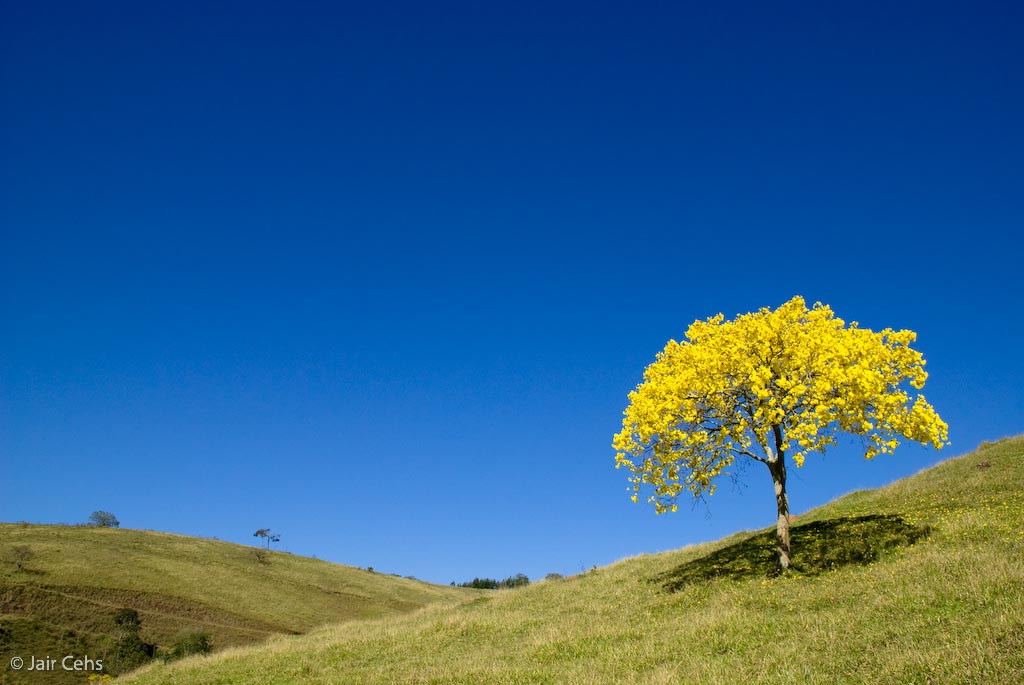 photo "***" tags: landscape, mountains