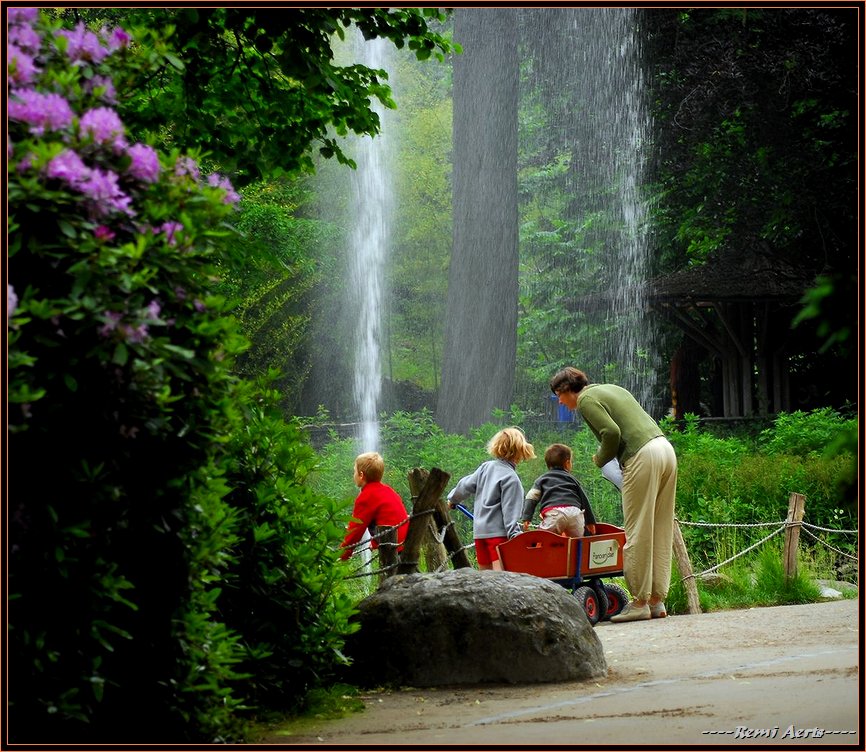 photo "to the fountain" tags: landscape, forest, summer