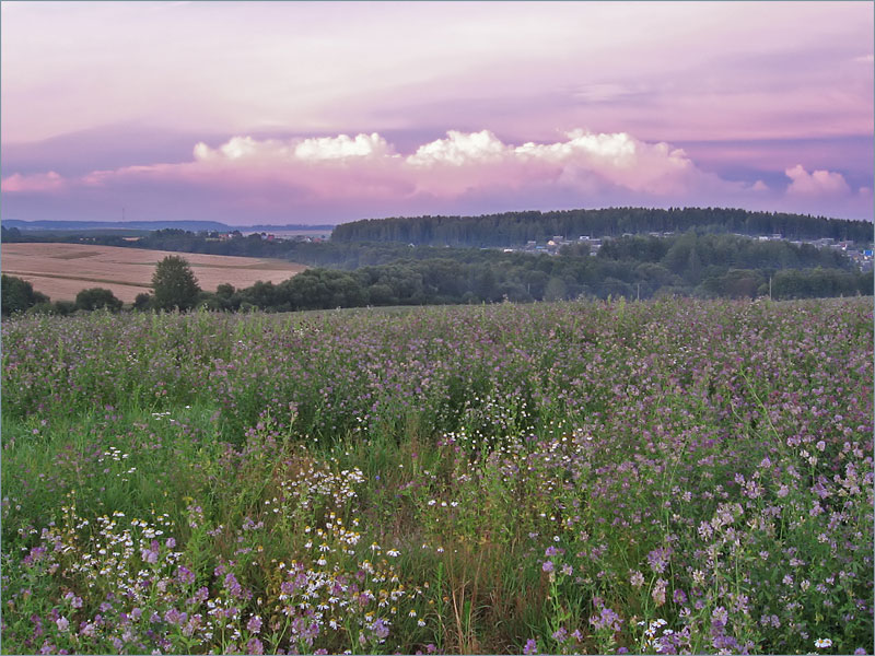 photo "***" tags: landscape, summer, sunset