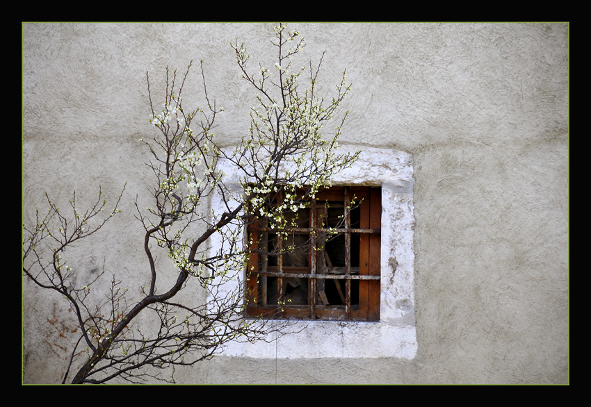 photo "Old Window" tags: architecture, landscape, 