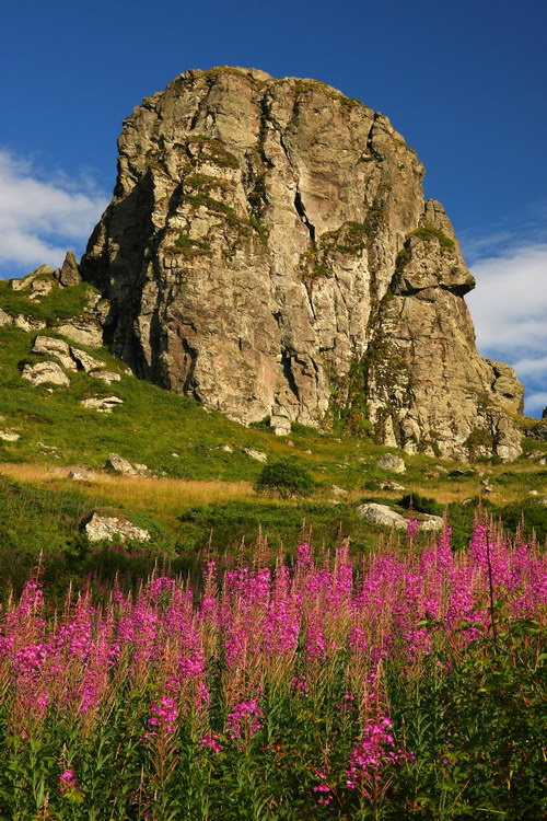 photo "Stara planina" tags: landscape, mountains