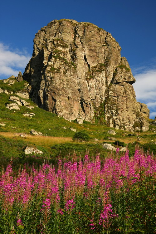 фото "Stara planina" метки: пейзаж, горы