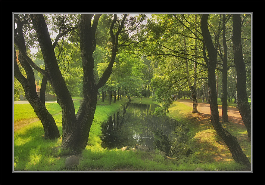 photo "In a summer ark" tags: landscape, forest, summer