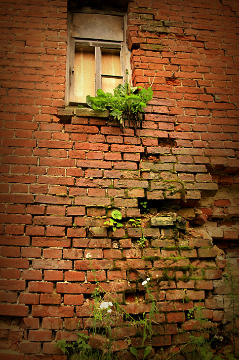 фото "Быльё" метки: архитектура, пейзаж, 