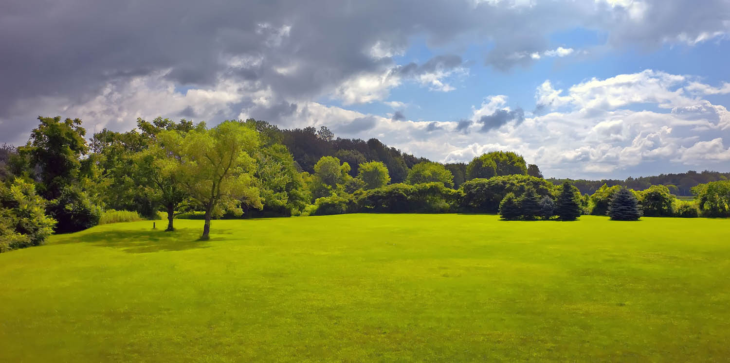 photo "Overcast" tags: landscape, clouds