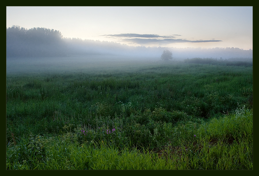 photo "***" tags: landscape, summer, sunset