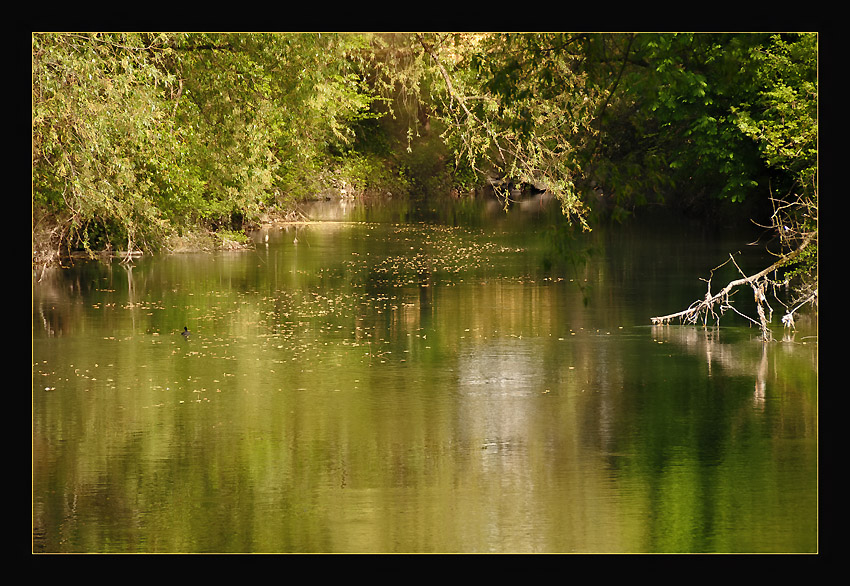 photo ""Promenade"" tags: landscape, water