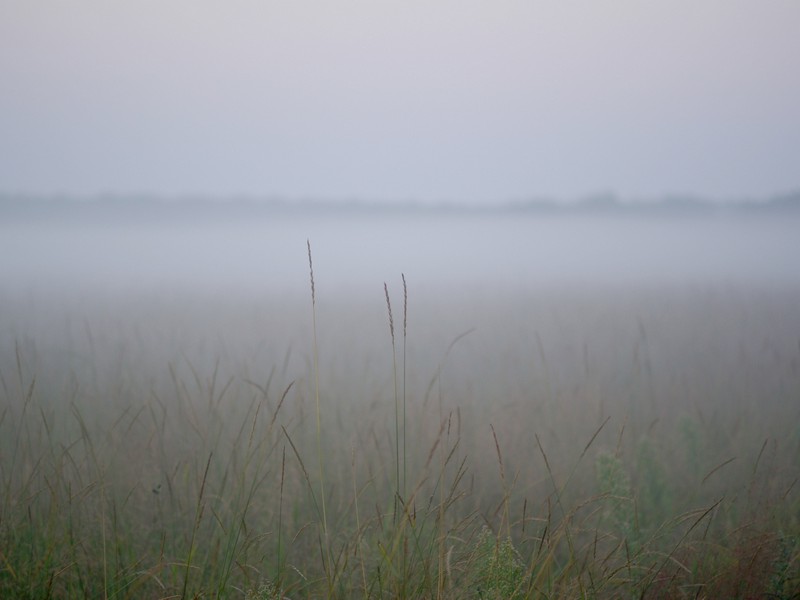 photo "***" tags: landscape, summer