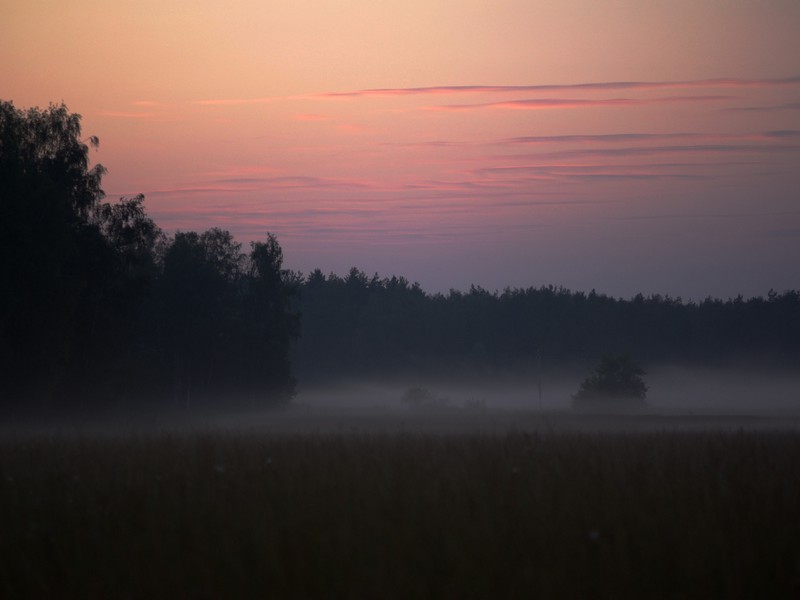 photo "***" tags: landscape, summer, sunset